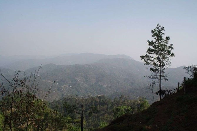 Welcome to Solan!