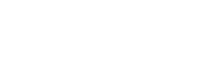 Niswey-Logo-white (1)